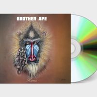 Karma: Brother Ape