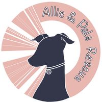 Allie & Pals Rescue Benefit