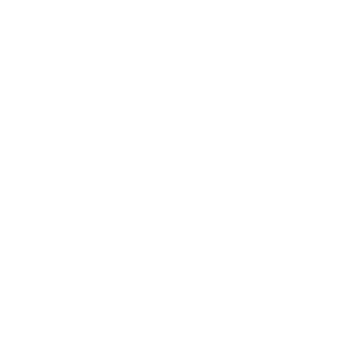 Our Logo:  The Turtle is  an ancient symbol for the Earth and a Native American symbol for North America, they call it Turtle Island.    I chose this symbol as a reminder that we must be responsible stewards of our home and all the creatures who live here, including the Ocean.   The spiral is one of the oldest symbols for personal power and your life's journey.