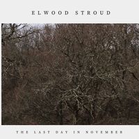 The Last Day In November by Elwood Stroud