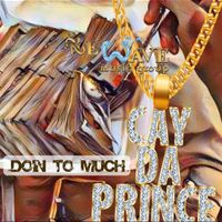 DOIN TO MUCH by CAY DA PRINCE