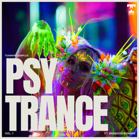 Psy Trance Vol 1 by Brandon Hombre