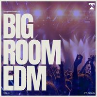 Big Room EDM Vol 3 by Ozgun