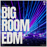Big Room EDM Vol 1  by Meltek
