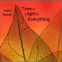 There is a Light in Everything by Harry Remer