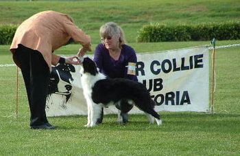 Chance - taken 10th June 2007 - The Judge Mrs L Harrison (S.A) looking at my teath!
