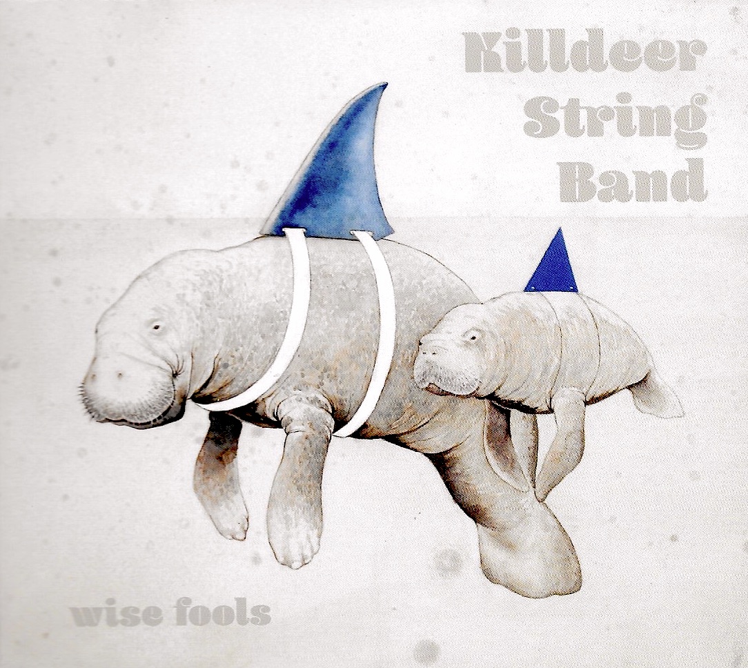 Killdeer String Band