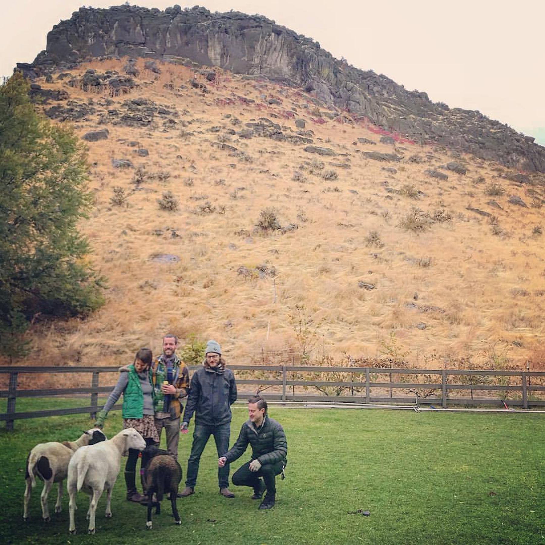 Killdeer String Band