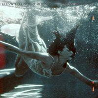 Drowning Spree by Elevated Undergrounds