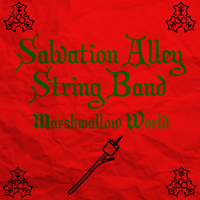Marshmallow World by The Salvation Alley String Band
