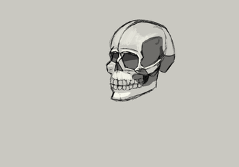 Skull Practice (Digital, Procreate)
