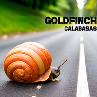 Calabasas by Goldfinch