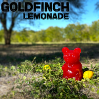 Lemonade by Goldfinch