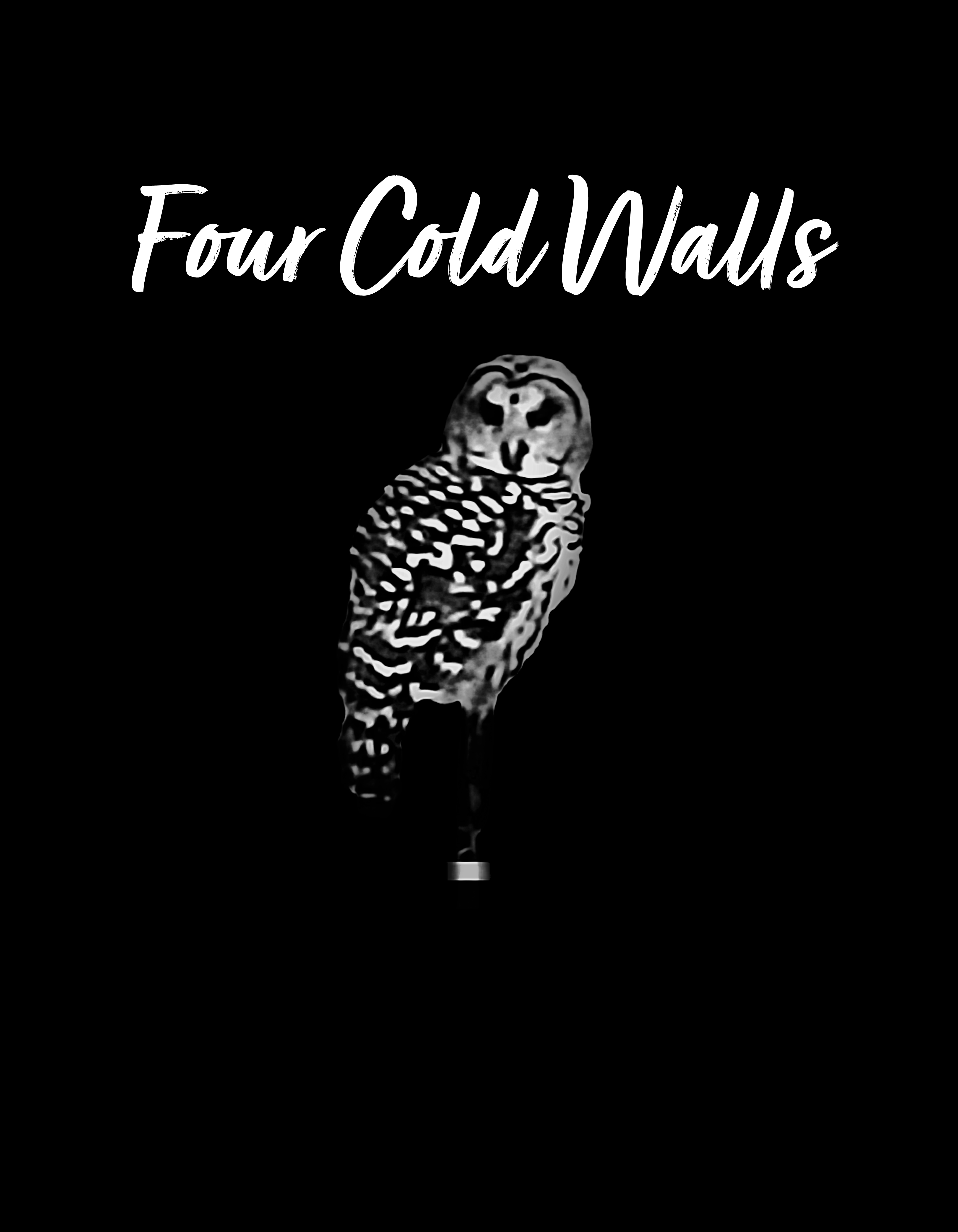 Four Cold Walls
