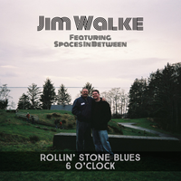 Rollin' Stone Blues by Jim Walke feat. Spaces In Between