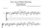 Jesu, Joy of Man's Desiring - J.S.Bach