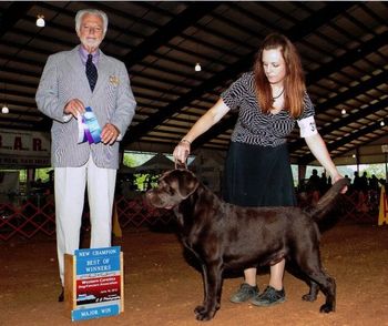 06/16/2012 Lucas is now CH Epoch Banner's Chocolate Midnight Malt at Western Carolina Dog Fanciers Association under Mr. Houston Clark
