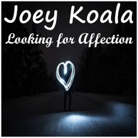 Looking For Affection by Joey Koala