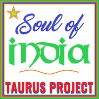 Soul Of India by Taurus Project