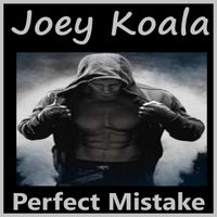 Perfect Mistake by Joey Koala