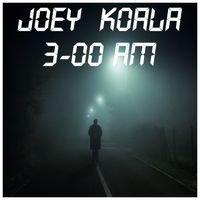 3-00 AM by Joey Koala