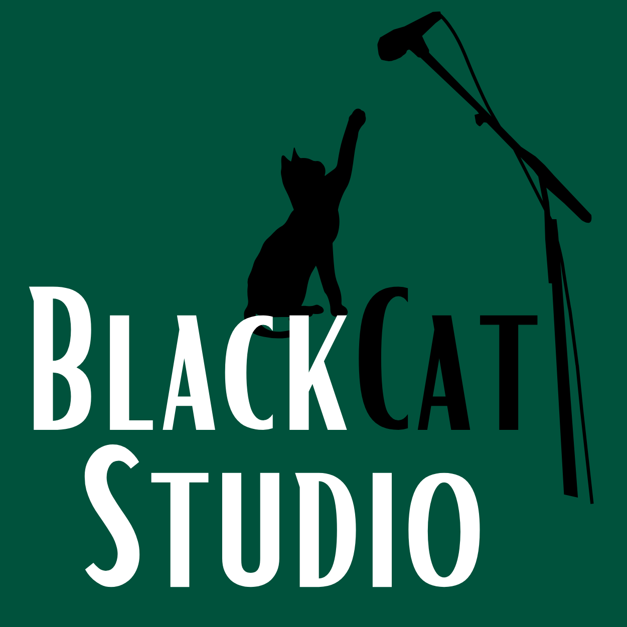 Black Cat Studio