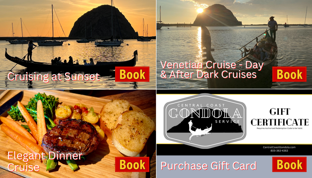 Book your Cruise Now!