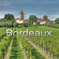 Bordeaux by Dan Del Negro