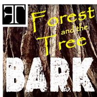 Bark by Forest and the Tree