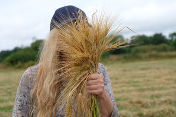 With ancient Bere Barley just cut with my scythe
