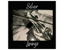Silver Linings Album booklet