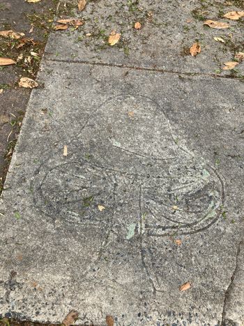 Sidewalk mushroom art at the former site of the Hippie Crash Pad.
