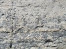 2. Gneiss: from The Intelligence of Rocks
