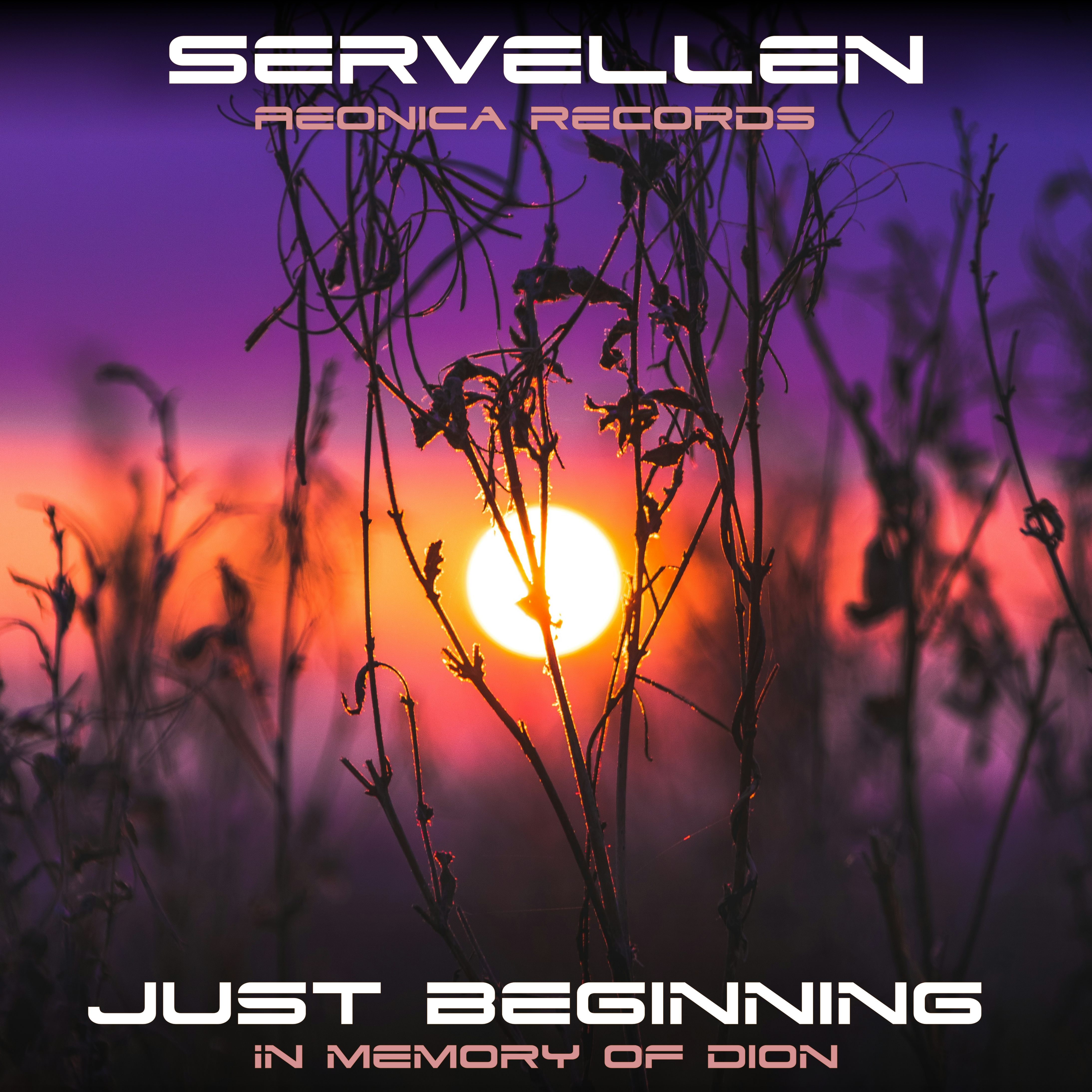 servellenmusic.org