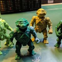 Custom 3-D Print - TMNT