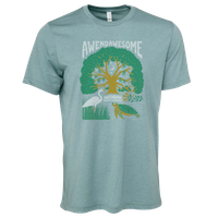 Awendawsome T-Shirt (Various Colors)