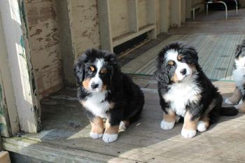 Parker on right, sister Charlie on left.
