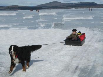 Camden pulling the kids, Ice Fishing Derby, Ossipee Lake, February 2010
