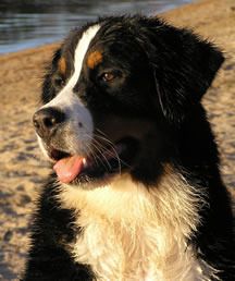 Kiera enjoying a day at the beach, July 2006
