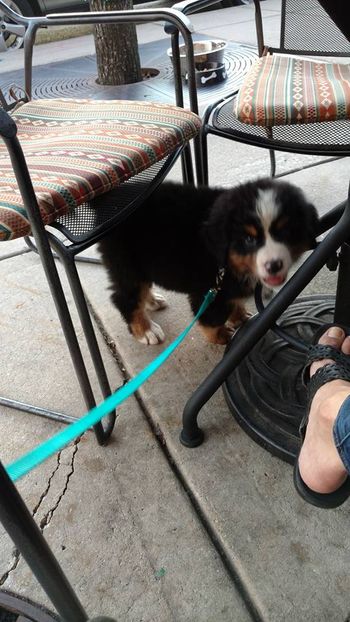 This was the day we named her...dining al Fresco.
