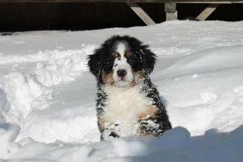She loved the Blizzard of 2013!
