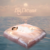 Big Dreams by Rachael Lavelle