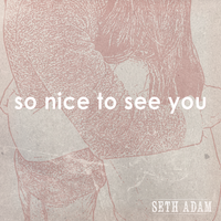 So Nice To See You by Seth Adam