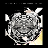 Fits and Starts and Stops by Seth Adam
