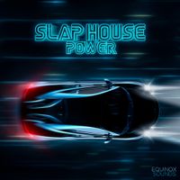 Slap House Power (WAV + MIDI) by Equinox Sounds