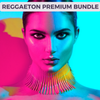 Reggaeton Premium Bundle