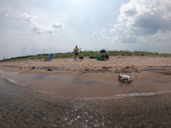 Baxter Bear's Beach Birthday Party - 7/22
