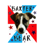 Baxter Bear Sticker