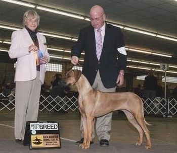 CH Najahari's Lucius Makenna "Mickey"
