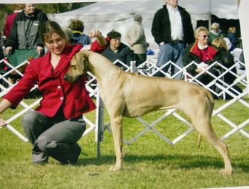 CH Najahari's Mia Conga (MBIS MBISS CH Camelot's Promise To Bakari SC x CH Najahari's Jeva By Kengali JC)
